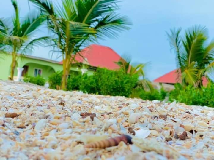 Bosofet Beach And Creek Lodge Sanyang Luaran gambar