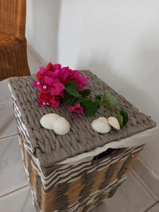 Bosofet Beach And Creek Lodge Sanyang Luaran gambar